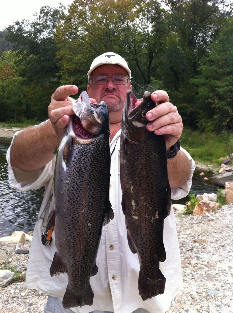 Lower Mt Fork River Fishing Guide Report with Video and Pictures